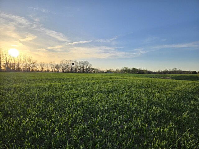 V/L Bonanza Road, Lake Odessa, MI 48849