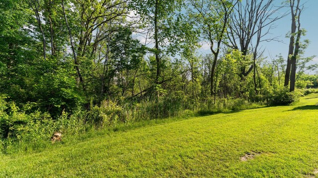 3100 Millbury Ln, Ann Arbor, MI 48105 - view of grassy yard