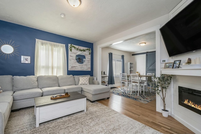 1146 Hall St SE, Grand Rapids, MI 49507 - living area featuring a fireplace, a barn door, and wood finished floors