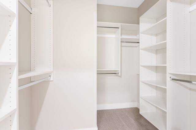 walk in closet with carpet