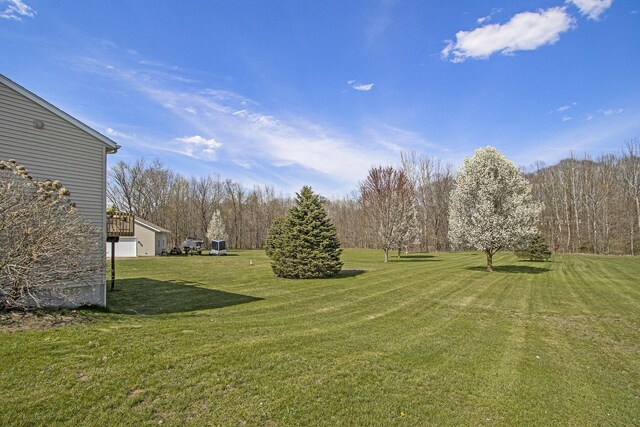 1077 Sun Valley Ln, Allegan, MI 49010 - view of yard