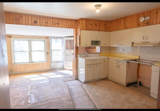 15232 Three Oaks Rd, Three Oaks, MI 49128 - kitchen with light countertops, decorative backsplash, and under cabinet range hood