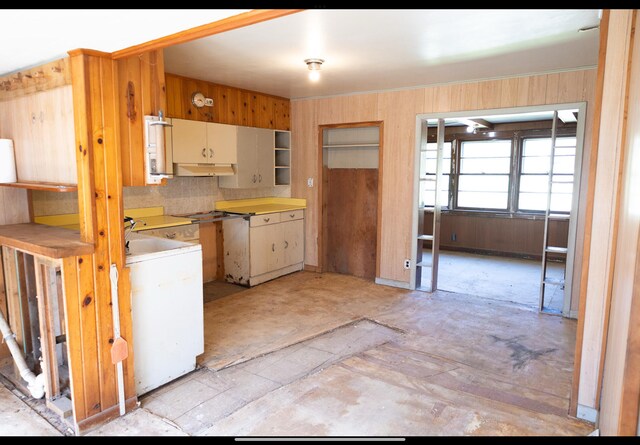 15232 Three Oaks Rd, Three Oaks, MI 49128 - kitchen with light countertops and under cabinet range hood