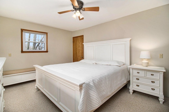 8644 Lyman Rd, Kaleva, MI 49645 - photo 22