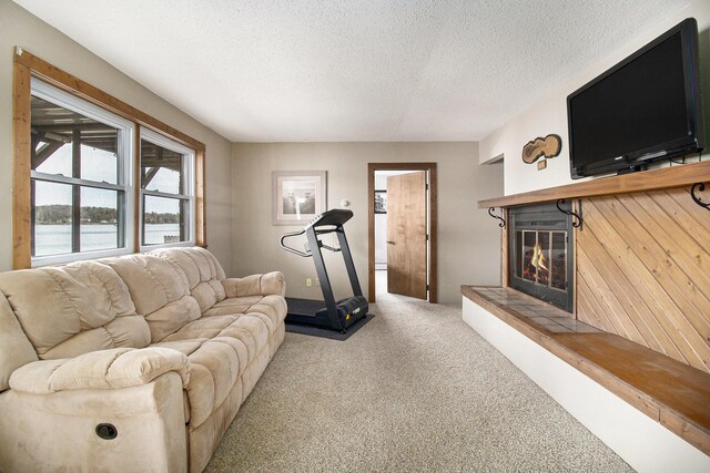 8644 Lyman Rd, Kaleva, MI 49645 - photo 25