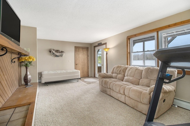 8644 Lyman Rd, Kaleva, MI 49645 - photo 26