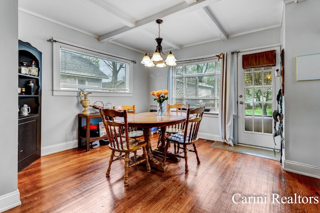 dining room featuring an inviting chandelier, wood finished floors, and a wealth of natural light