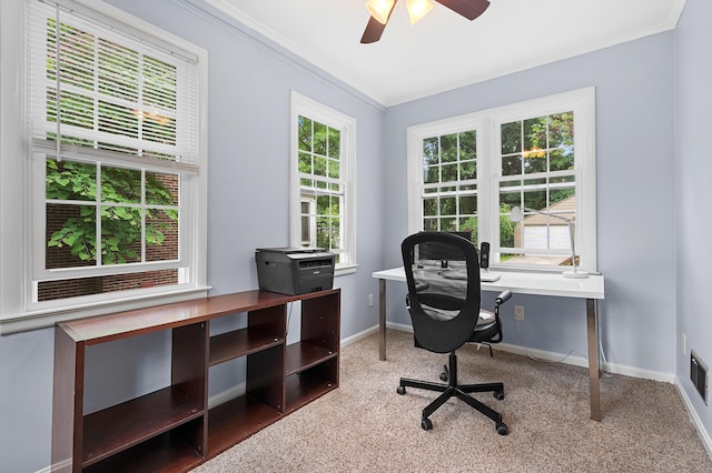 1021 Roseland Ave, Kalamazoo, MI 49001 - office area with crown molding, ceiling fan, and carpet floors