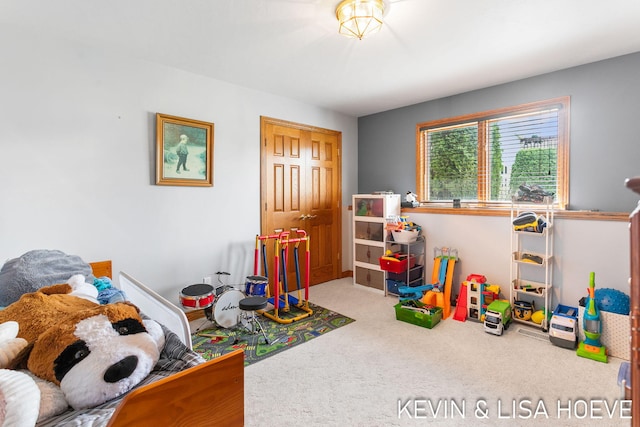 34 Regal Ct Unit 34, Zeeland, MI 49464 - photo 60