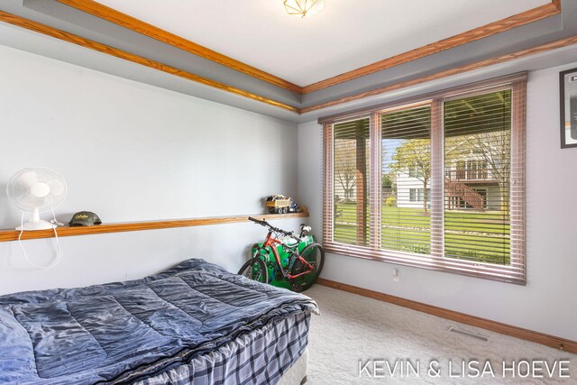 34 Regal Ct Unit 34, Zeeland, MI 49464 - photo 63