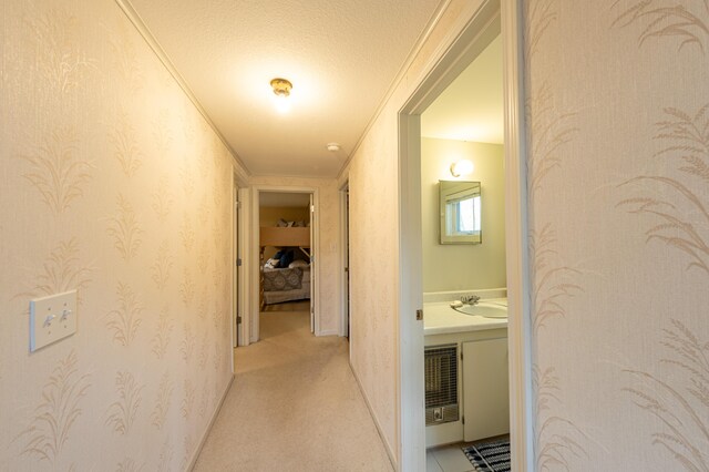 14 N Lighthouse Dr, Mears, MI 49436 - hall featuring a sink and light colored carpet