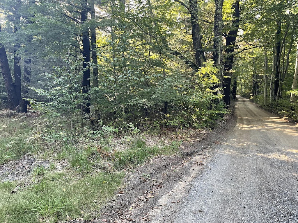 10445 W Woodrow Rd, Shelby, MI 49455