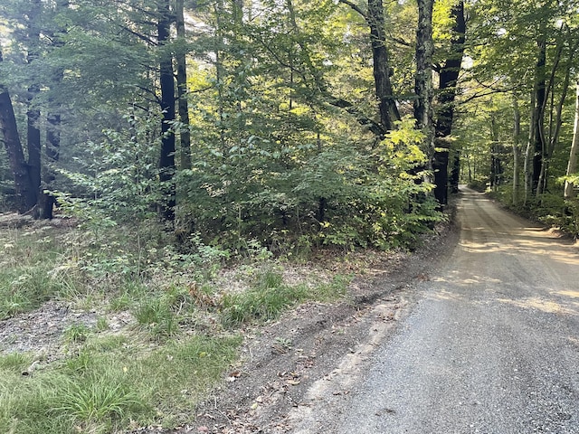 10445 W Woodrow Rd, Shelby, MI 49455