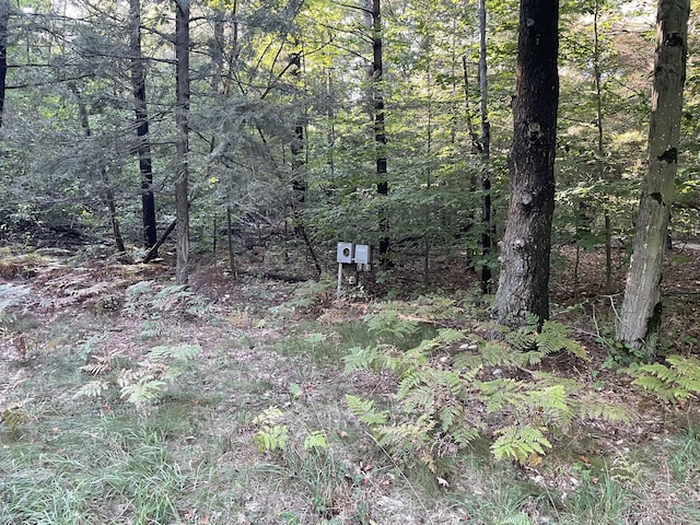 10445 W Woodrow Rd, Shelby, MI 49455