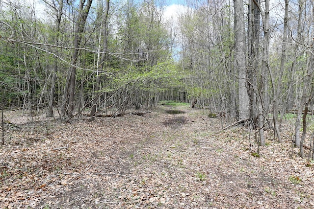 0 Hickory St, Fruitport, MI 49415