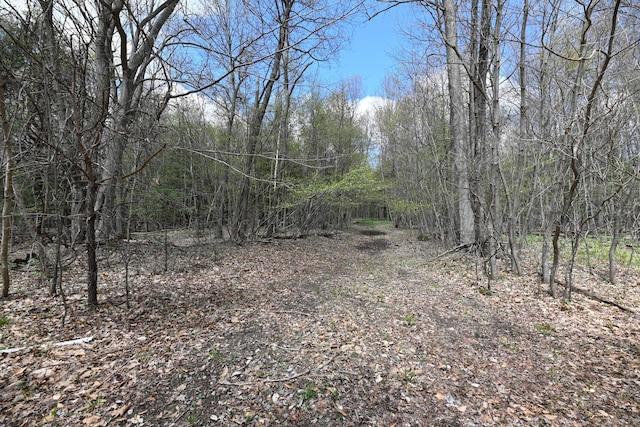 0 Hickory St, Fruitport, MI 49415