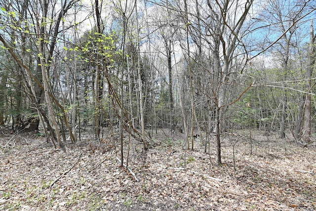 0 Hickory St, Fruitport, MI 49415