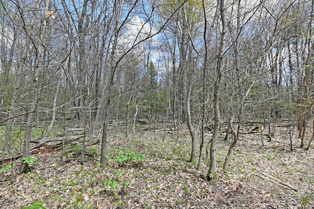 0 Hickory St, Fruitport, MI 49415