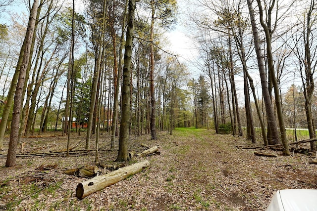 0 Hickory St, Fruitport, MI 49415
