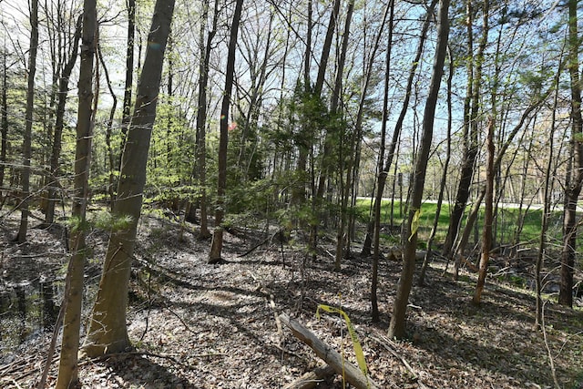 0 Hickory St, Fruitport, MI 49415