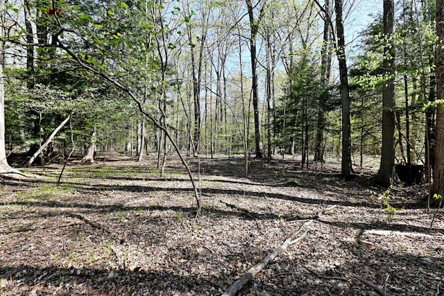 0 Hickory St, Fruitport, MI 49415