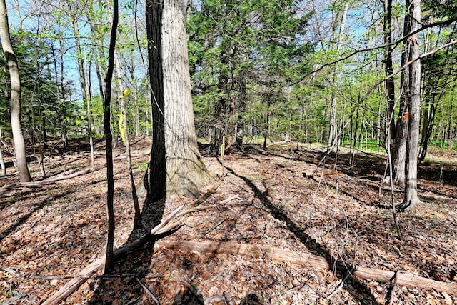 0 Hickory St, Fruitport, MI 49415