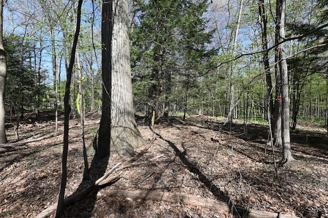 0 Hickory St, Fruitport, MI 49415