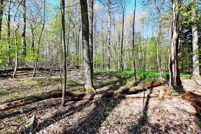 0 Hickory St, Fruitport, MI 49415