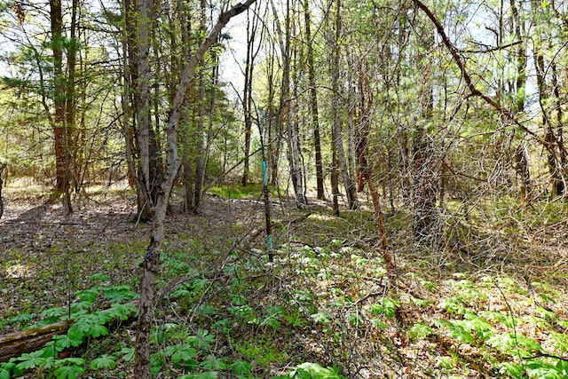0 Hickory St, Fruitport, MI 49415