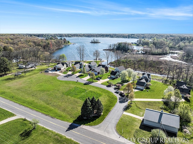13460 Cottage View Ct, Gowen, MI 49326 - bird's eye view of a large body of water