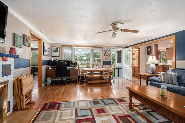 409 Louise Ave, Dowagiac, MI 49047 - office area with light wood-style floors, a ceiling fan, and a stone fireplace