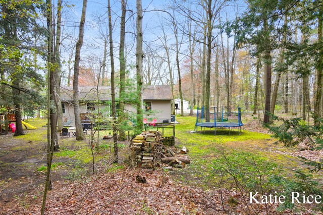 view of yard with a trampoline