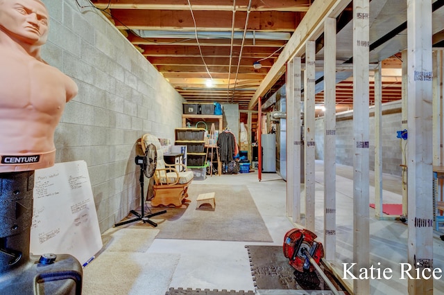 unfinished basement with gas water heater and concrete block wall