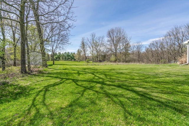 8308 E G Ave, Kalamazoo, MI 49048 - view of yard