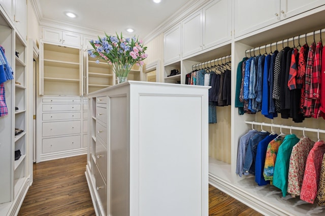 602 N Kalamazoo Ave, Marshall, MI 49068 - spacious closet with dark wood finished floors