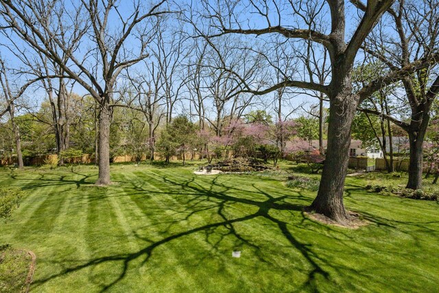602 N Kalamazoo Ave, Marshall, MI 49068 - view of yard