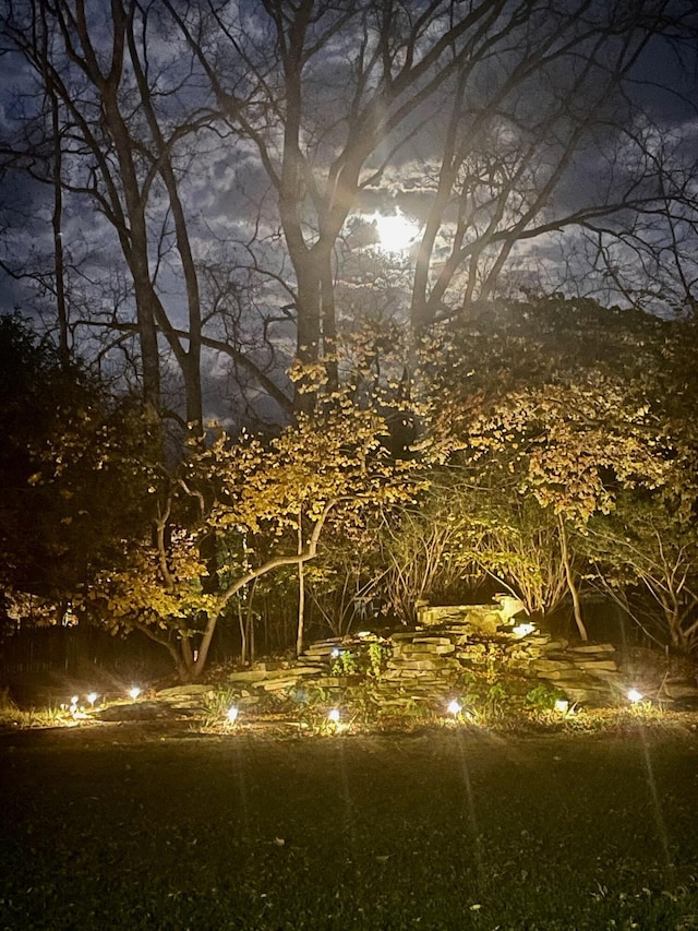 602 N Kalamazoo Ave, Marshall, MI 49068 - view of nature