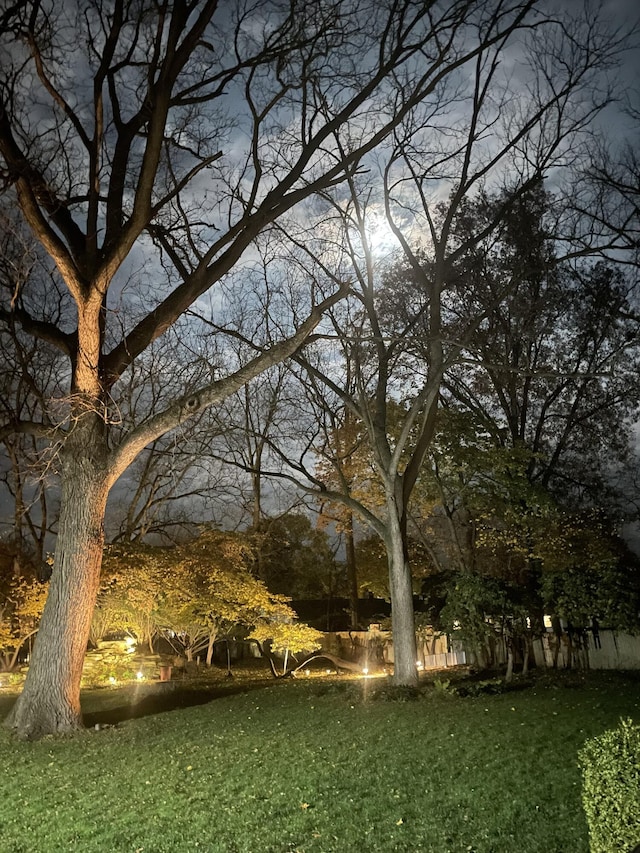 602 N Kalamazoo Ave, Marshall, MI 49068 - view of green lawn