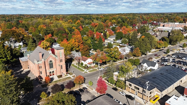 602 N Kalamazoo Ave, Marshall, MI 49068 - aerial view of a heavily wooded area