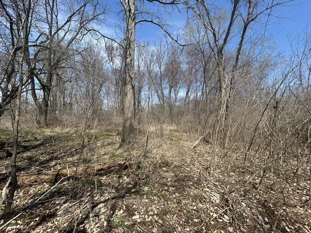 0 Peckins Rd, Chelsea, MI 48118 - photo 2