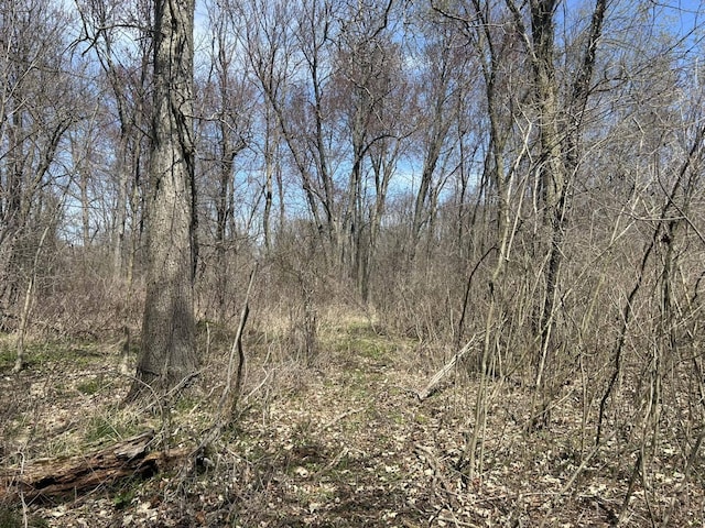 0 Peckins Rd, Chelsea, MI 48118 - photo 3