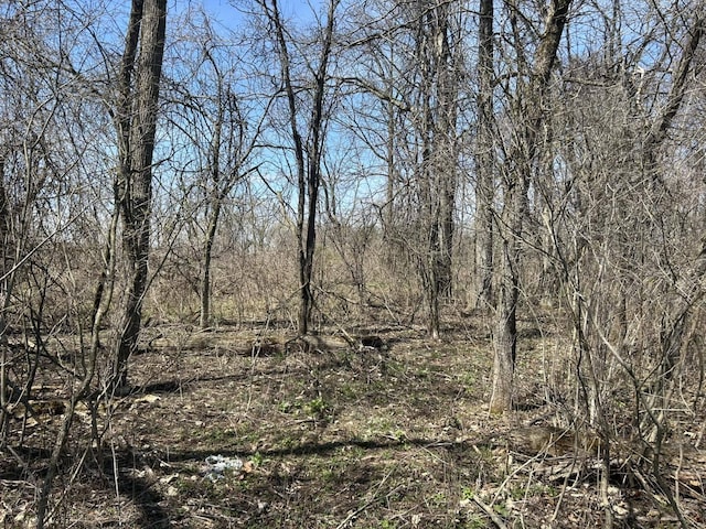 0 Peckins Rd, Chelsea, MI 48118 - photo 4