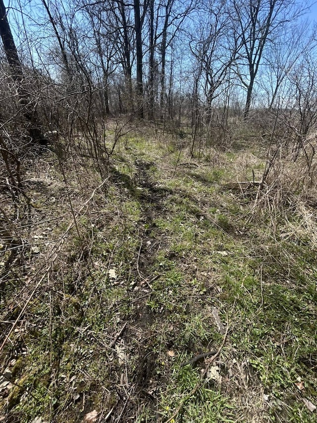 0 Peckins Rd, Chelsea, MI 48118 - photo 5