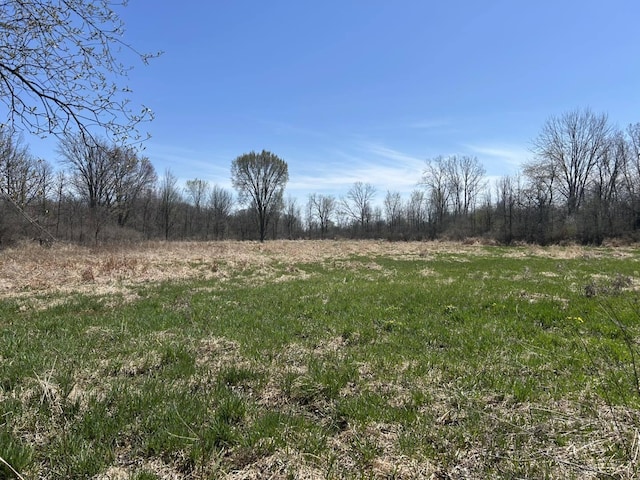 0 Peckins Rd, Chelsea, MI 48118 - photo 8