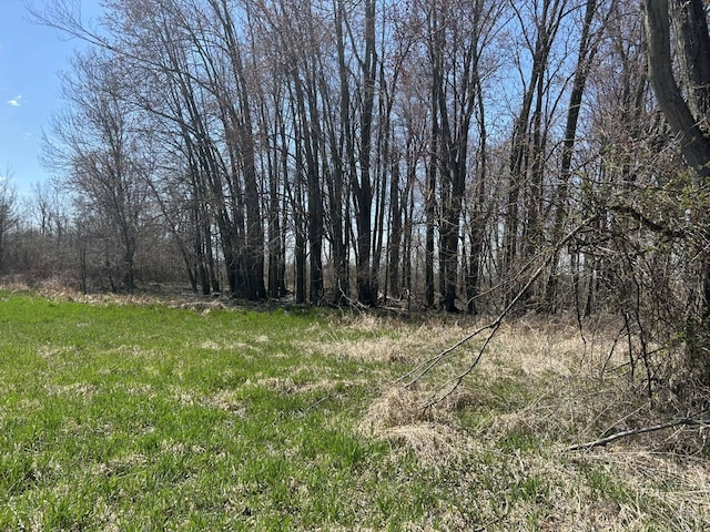 0 Peckins Rd, Chelsea, MI 48118 - photo 9