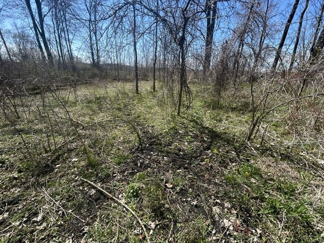 0 Peckins Rd, Chelsea, MI 48118 - photo 11