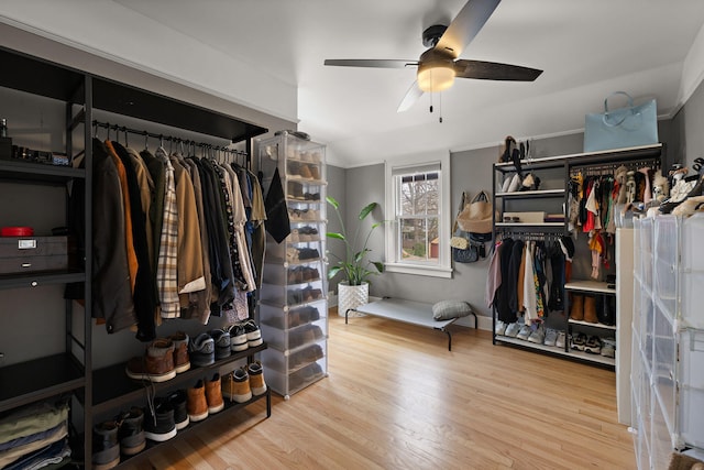 spacious closet with a ceiling fan and wood finished floors