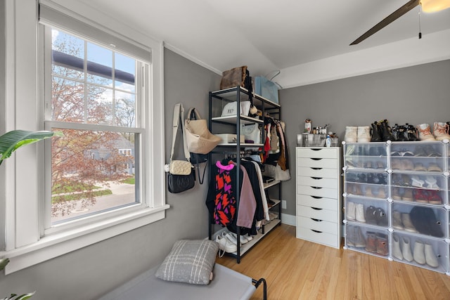 walk in closet featuring ceiling fan and wood finished floors