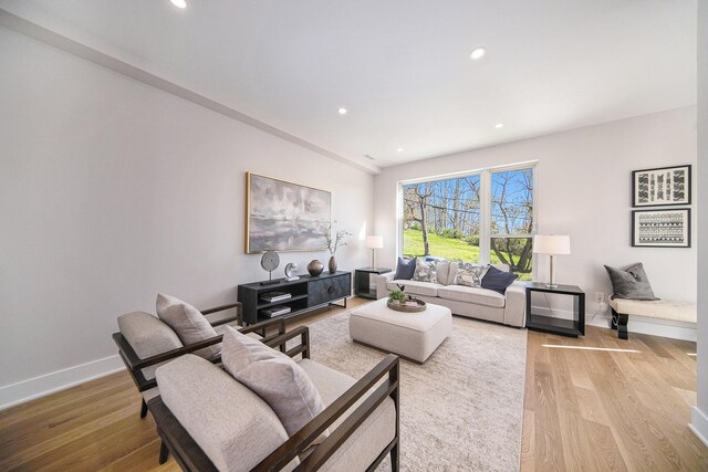 205 Sunset Rd, Ann Arbor, MI 48103 - living room with light wood-type flooring, recessed lighting, and baseboards