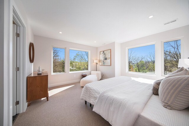 205 Sunset Rd, Ann Arbor, MI 48103 - bedroom featuring baseboards, carpet flooring, recessed lighting, and visible vents